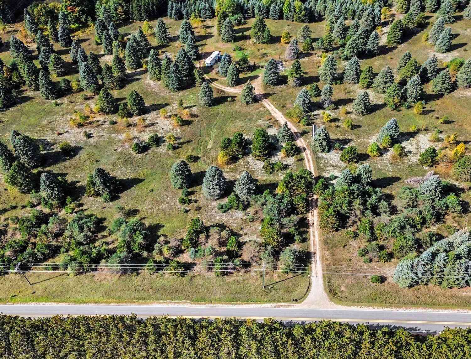 Vacant Land For Sale - 17194 Litzen Road<br/> Copemish, MI 49625