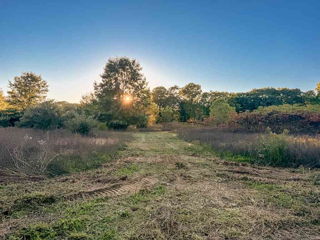 Vacant Land For Sale - 3324 Pine Glen Drive #LOT G<br/> Saugatuck, MI 49453