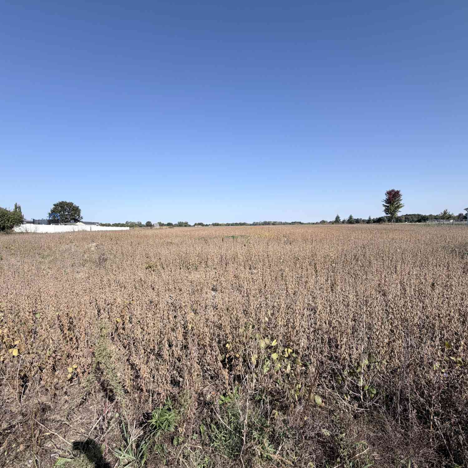 Vacant Land For Sale - 2000 W Beecher Road<br/> Adrian, MI 49221
