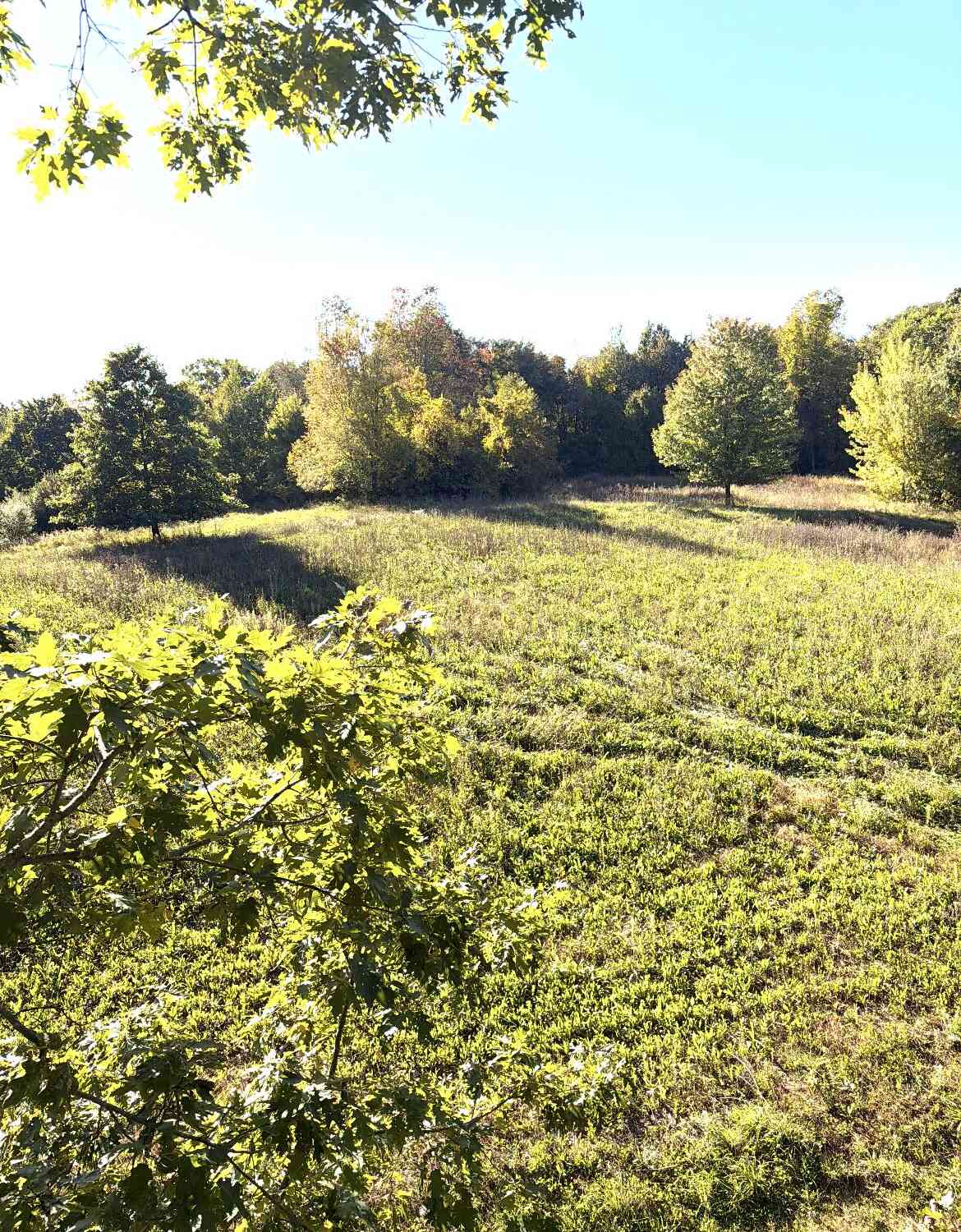 Vacant Land For Sale - Mccain Road<br/> Spring Arbor, MI 49283