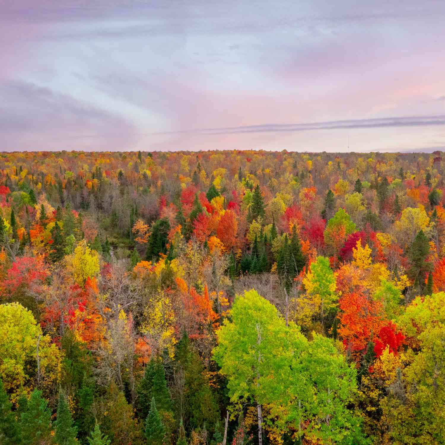 Vacant Land For Sale - LOT 3 E Shore Road<br/> Bergland, MI 49910