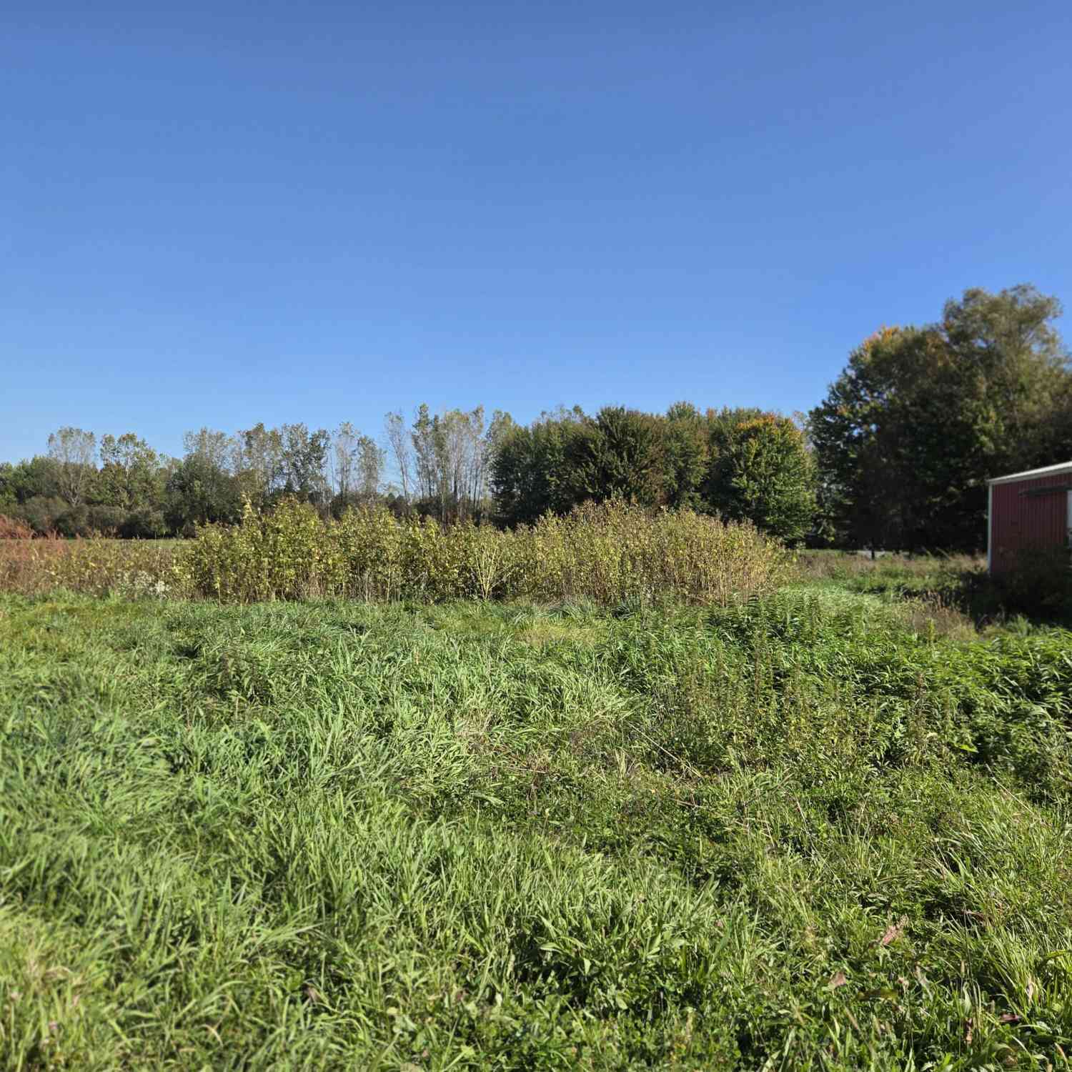 Vacant Land For Sale - 72nd Avenue<br/> Hudsonville, MI 49426