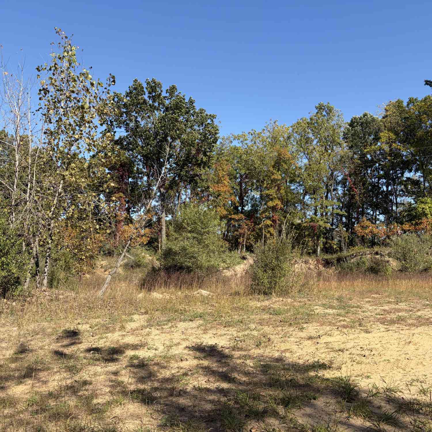 Vacant Land For Sale - Parcel E 34th Street<br/> Gobles, MI 49055