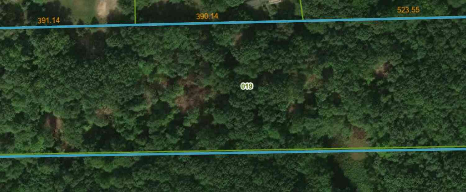 Vacant Land For Sale - V/L 0 S Elder Avenue<br/> Grant, MI 49327