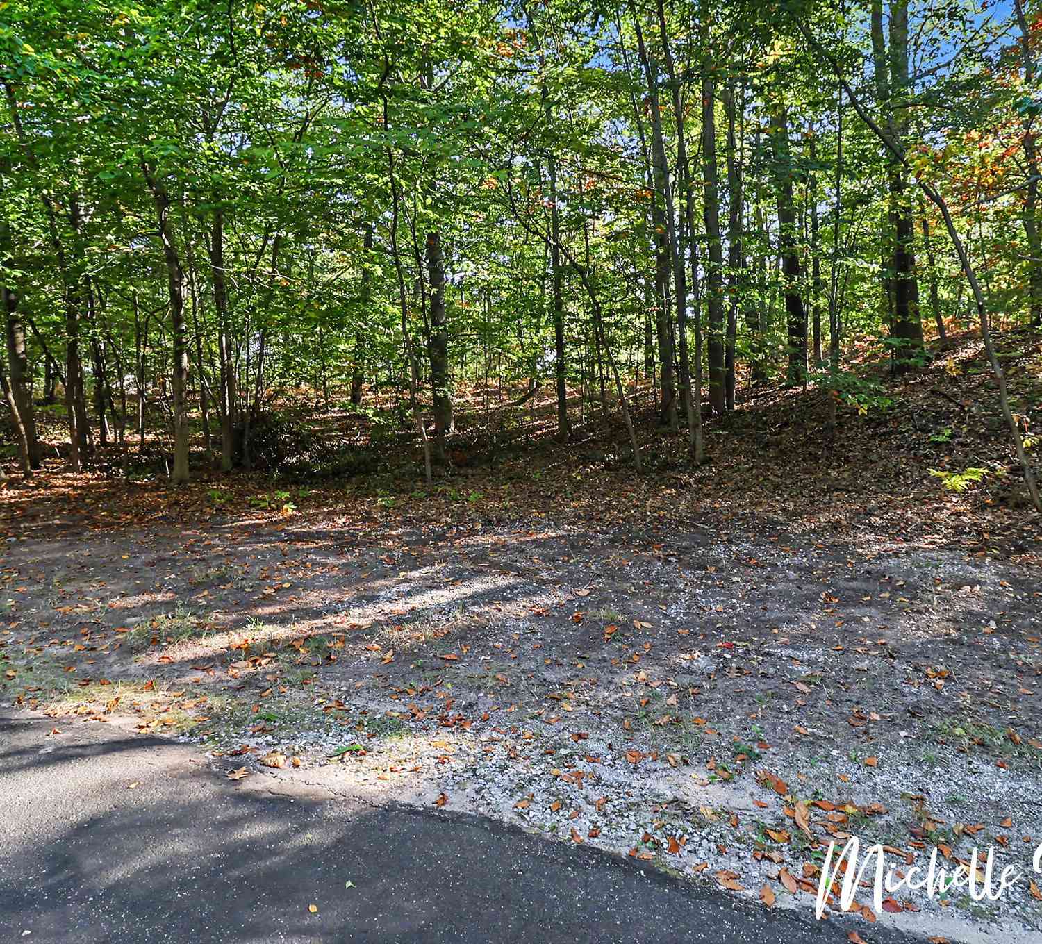 Vacant Land For Sale - Slalom Street #73<br/> Mears, MI 49436
