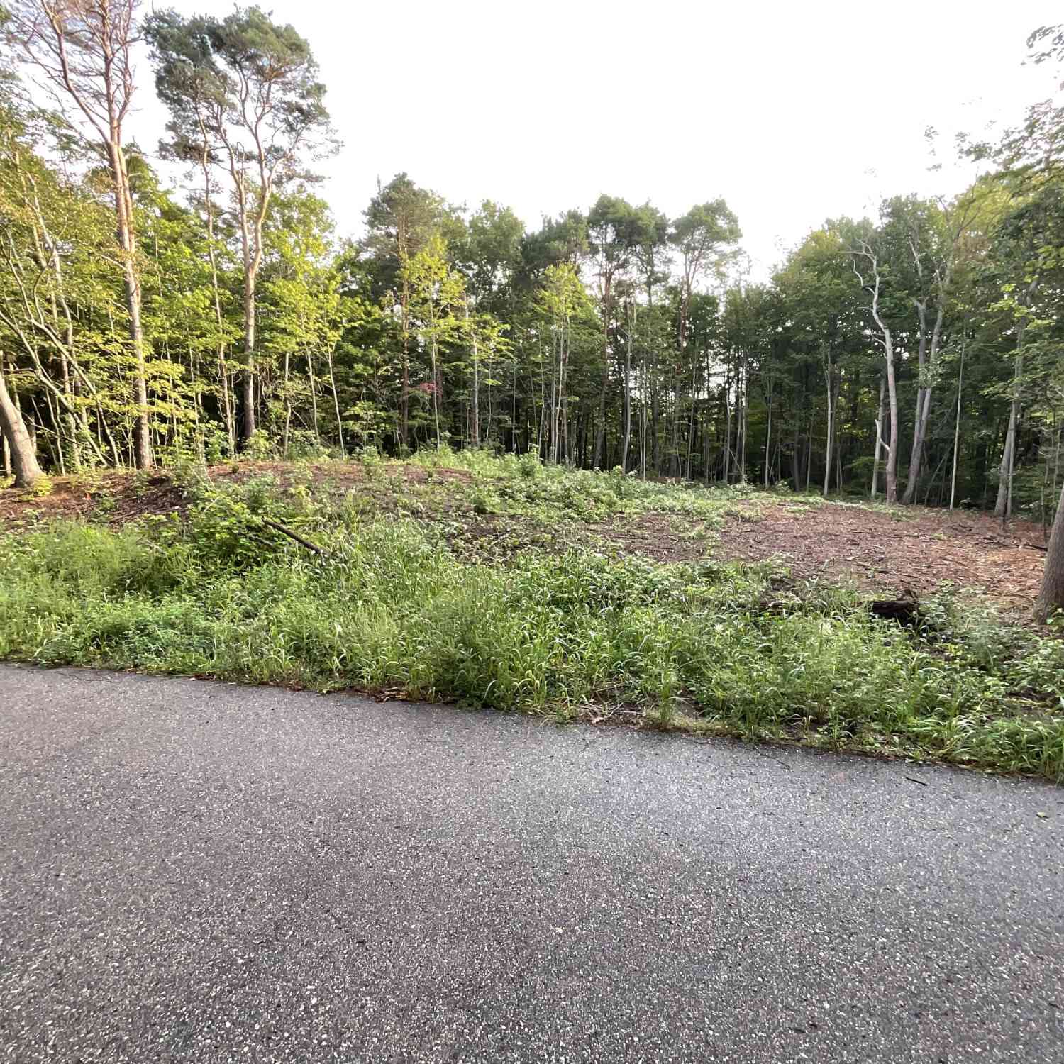 Vacant Land For Sale - Crescent Drive<br/> Allegan County, Fennville, MI 49408