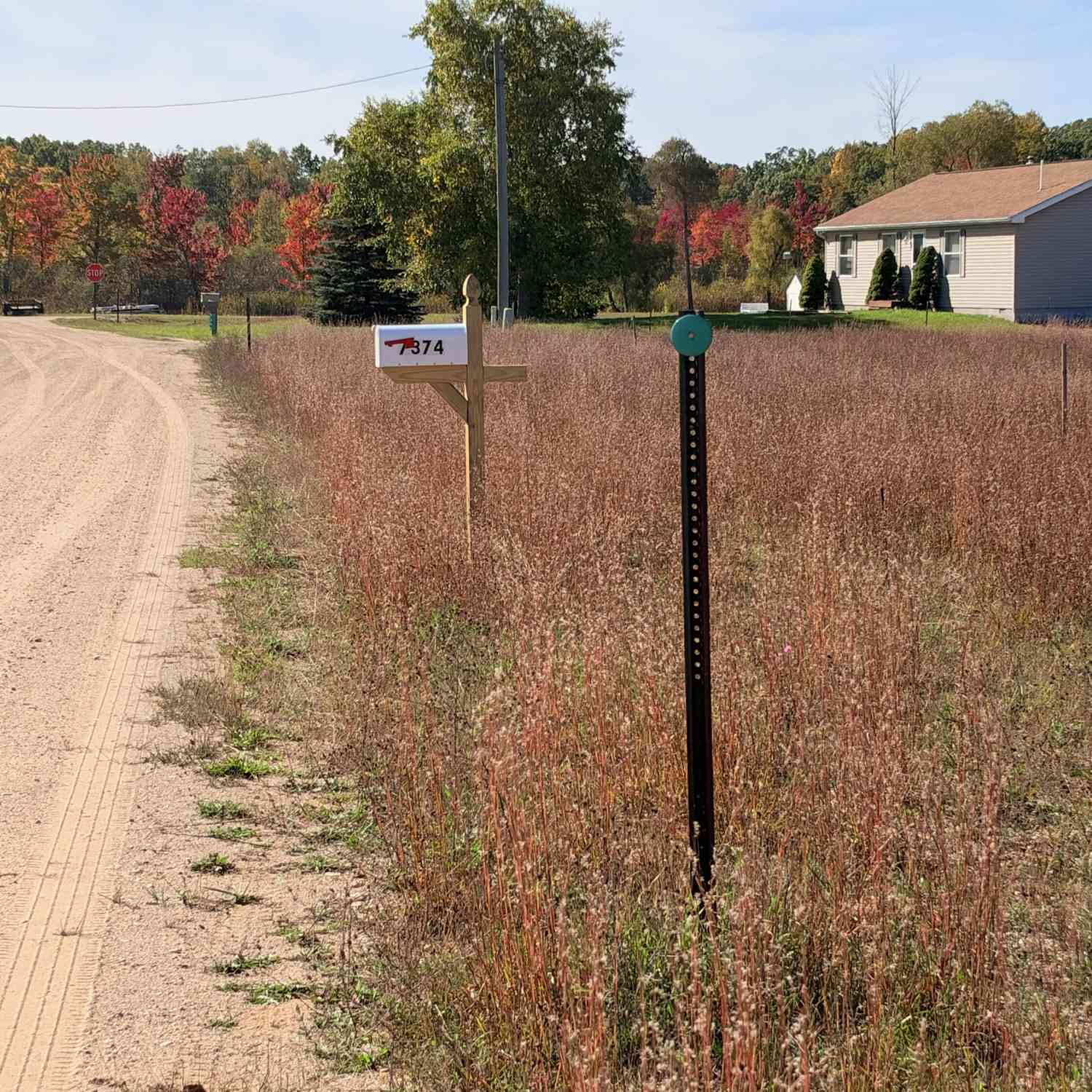 Vacant Land For Sale - 7386 W Cedar Drive<br/> Irons, MI 49644