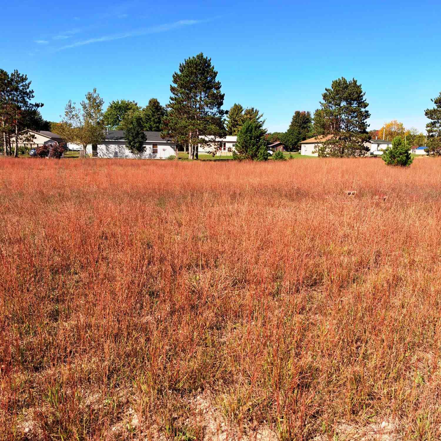 Vacant Land For Sale - 7374 W Cedar Drive<br/> Irons, MI 49644