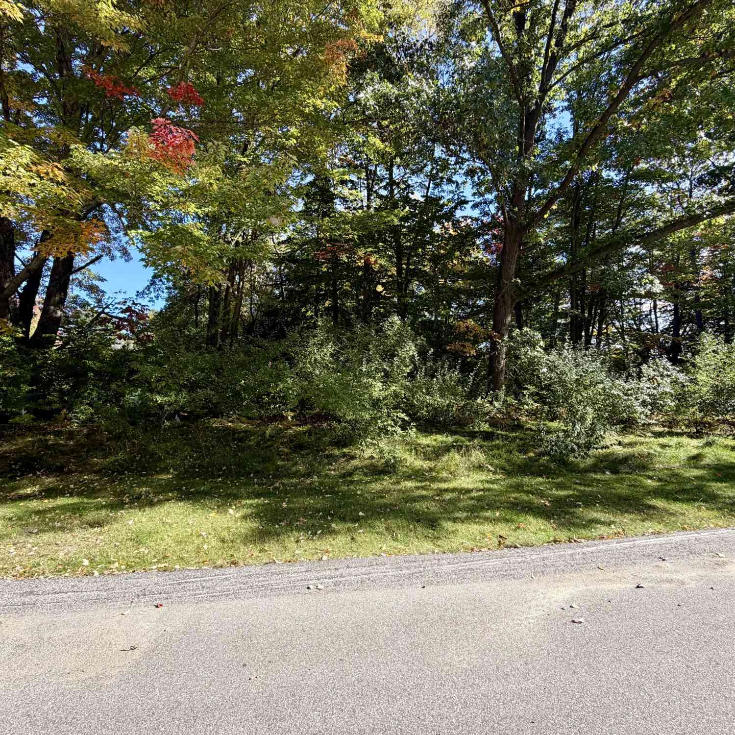 Vacant Land For Sale - 5312 W Riverside Lane #16<br/> Ludington, MI 49431