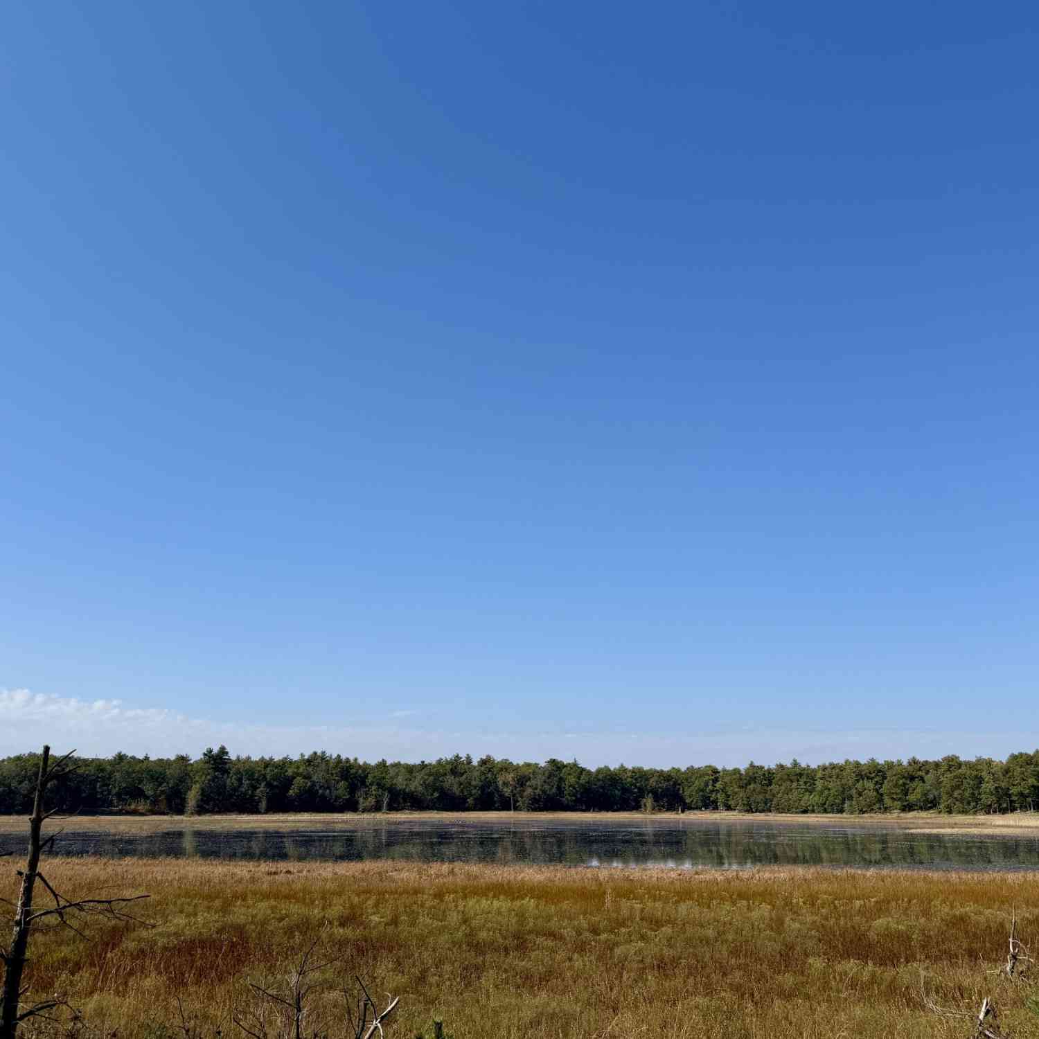 Vacant Land For Sale - V/l Round Lake Drive #PARCEL 17<br/> Holton, MI 49425