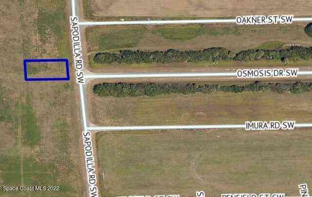 Vacant Land For Sale - 2250 Sapodilla Road<br/> Palm Bay, FL 32908