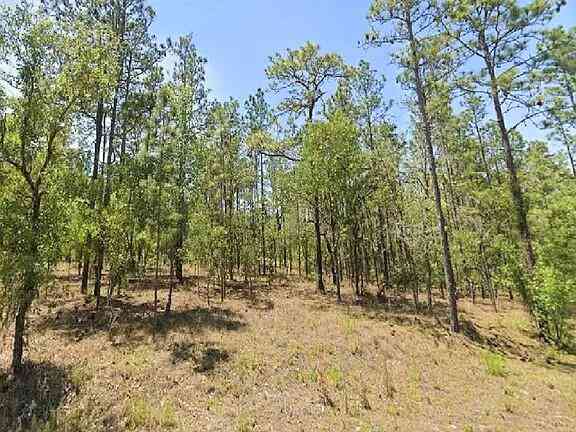 Vacant Land For Sale - NW Tree Top #9 Road<br/> Dunnellon, FL 