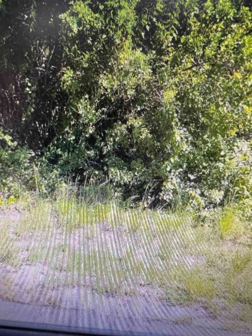 Vacant Land For Sale - 380 Warwick Street<br/> Palm Bay, FL 32909