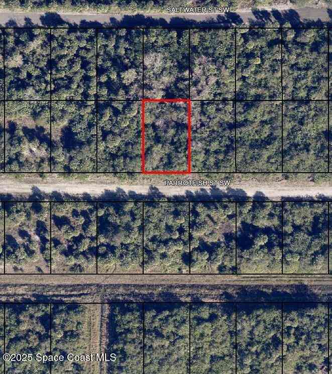 Vacant Land For Sale - 677 Parrotfish Street<br/> Palm Bay, FL 32908