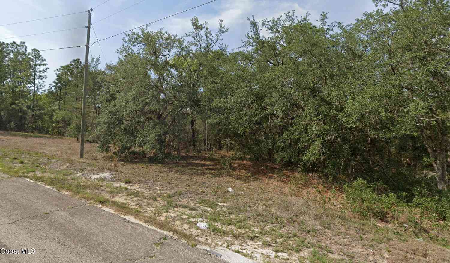 Vacant Land For Sale - 6940 N Lime Drive<br/> Dunnellon, FL 34433
