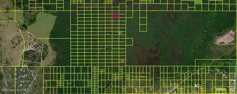 Vacant Land For Sale - 11120020 Holopaw Groves Road<br/> Osceola County, Magnolia Square, FL 34771