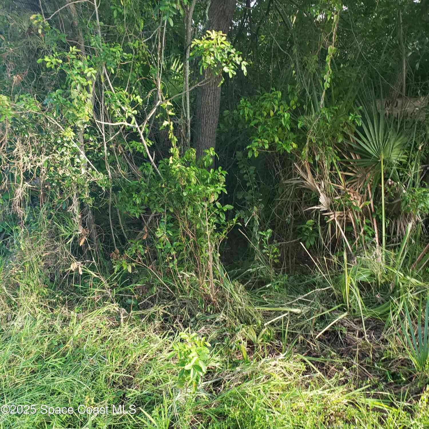 Vacant Land For Sale - 1462 Newfound Harbor Drive<br/> Merritt Island, FL 32952