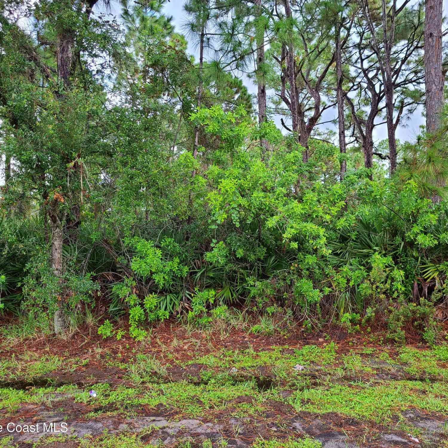 Vacant Land For Sale - 2561 Eldron Boulevard<br/> Palm Bay, FL 32909