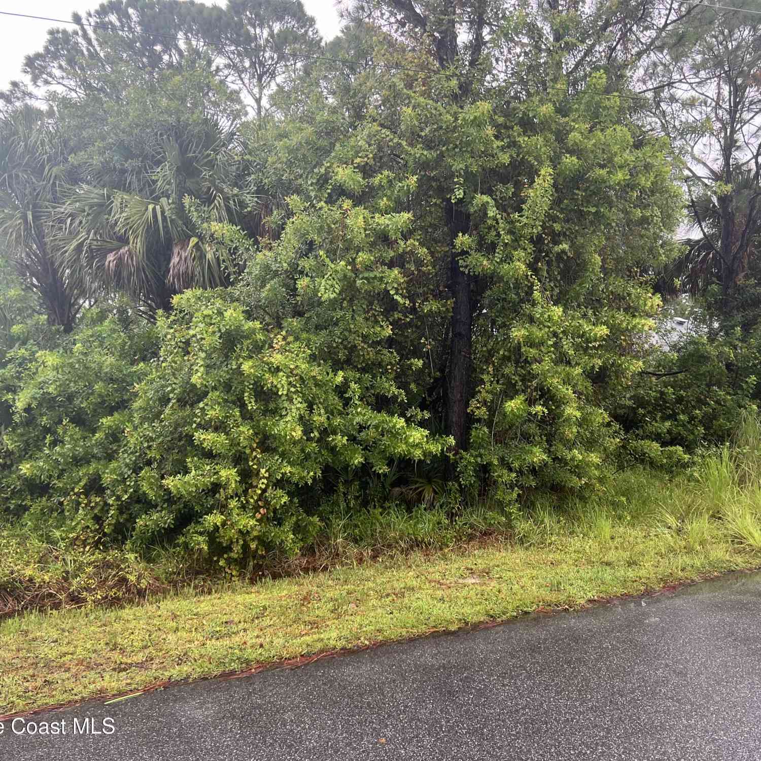 Vacant Land For Sale - 149 Feldman Street<br/> Palm Bay, FL 32909