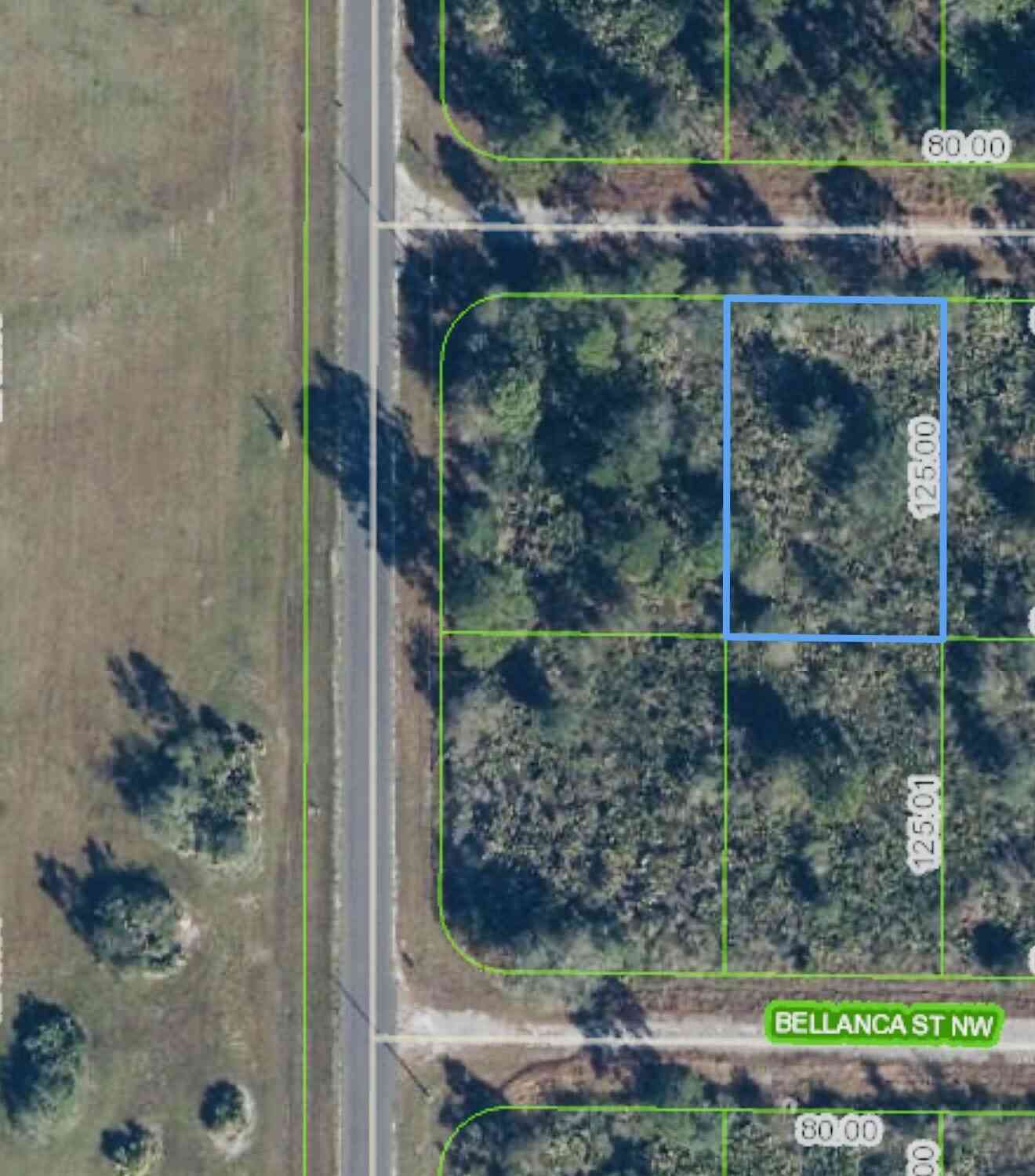 Vacant Land For Sale - 762 American Street<br/> Lake Placid, FL 33852