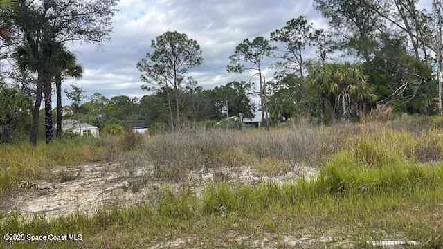 Vacant Land For Sale - 491 La Coco Street<br/> Palm Bay, FL 32908