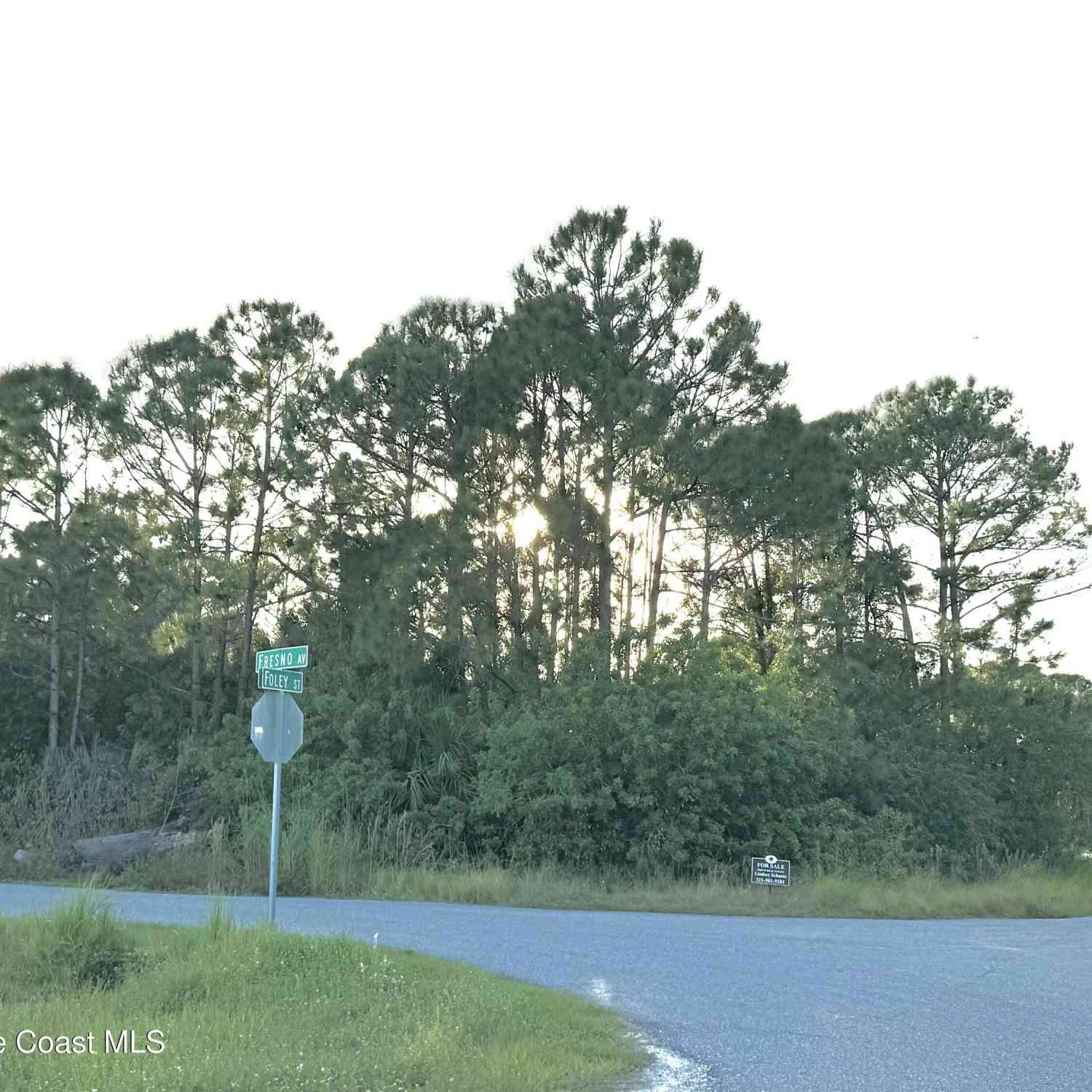 Vacant Land For Sale - 175 Foley Street<br/> Palm Bay, FL 32909