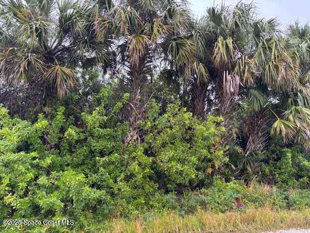 Vacant Land For Sale - 1341 Laredo Street<br/> Palm Bay, FL 32908