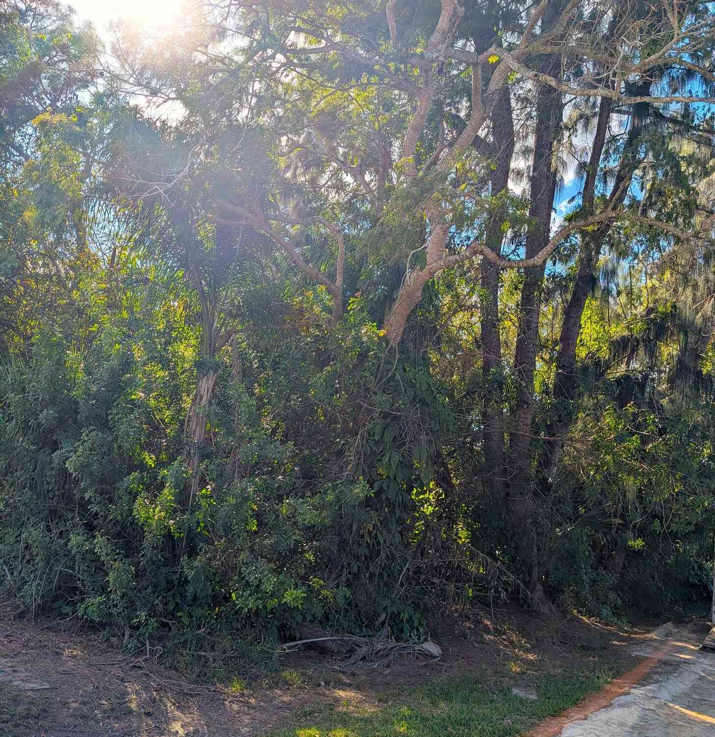 Vacant Land For Sale - 6195 6th Place<br/> Vero Beach, FL 32968