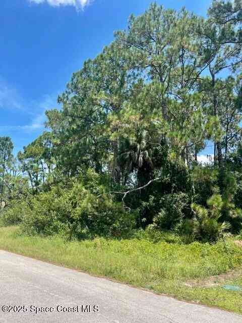 Vacant Land For Sale - 171 & 177 Shalimar Avenue<br/> Palm Bay, FL 32907