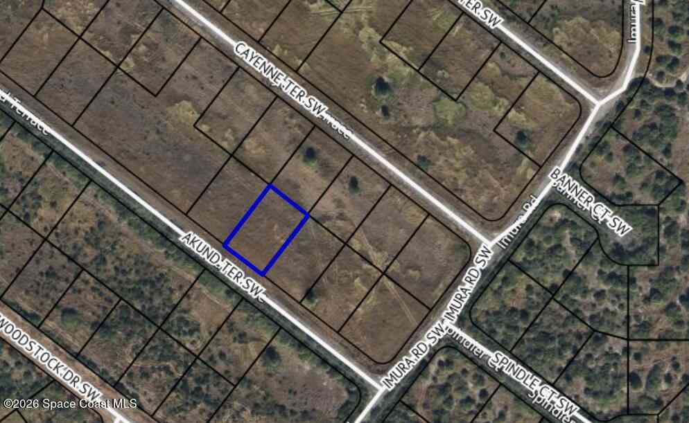 Vacant Land For Sale - 935 Akund Terrace<br/> Palm Bay, FL 32908