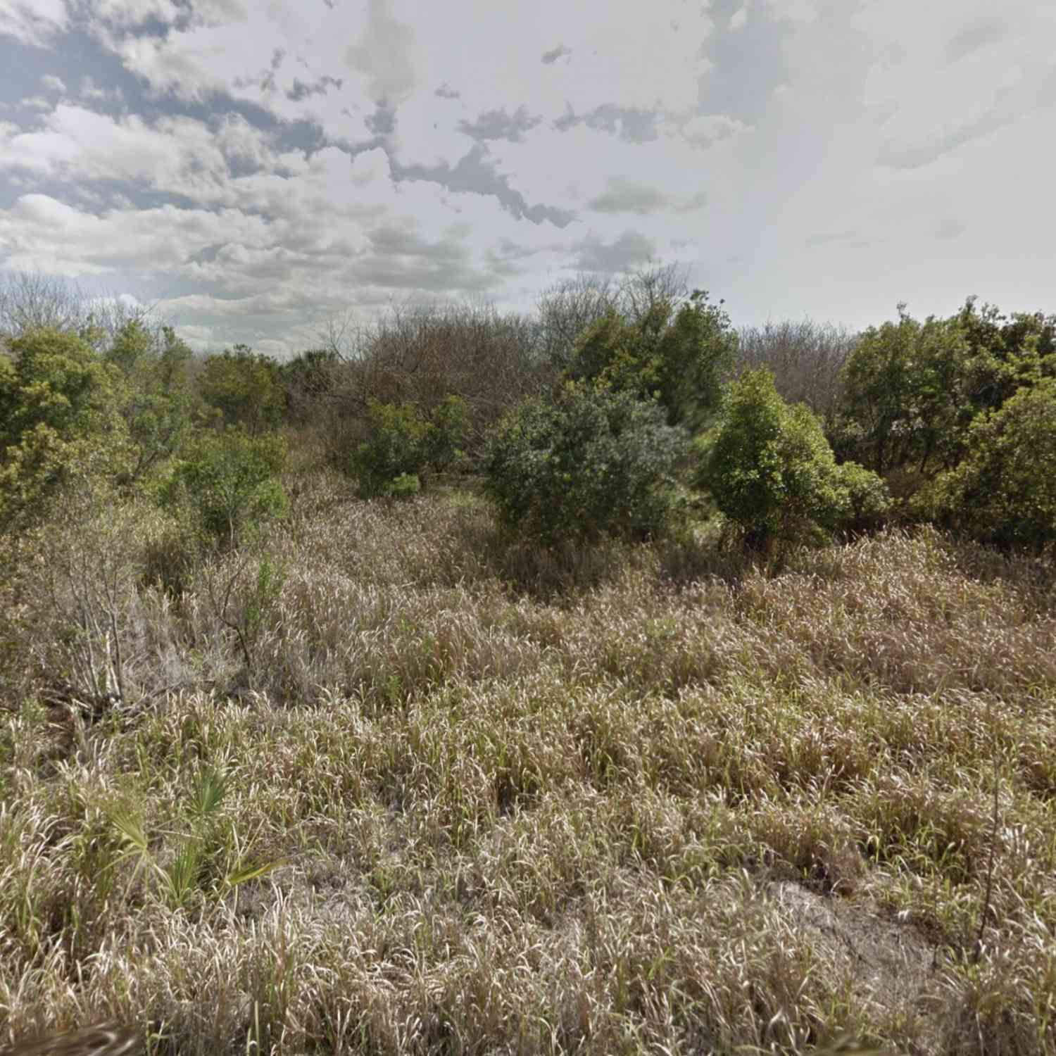 Vacant Land For Sale - 1558 Burney Street<br/> Palm Bay, FL 32908