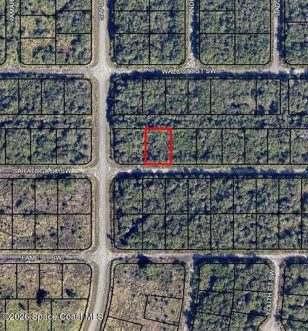 Vacant Land For Sale - 985 Saratoga Street<br/> Palm Bay, FL 32908