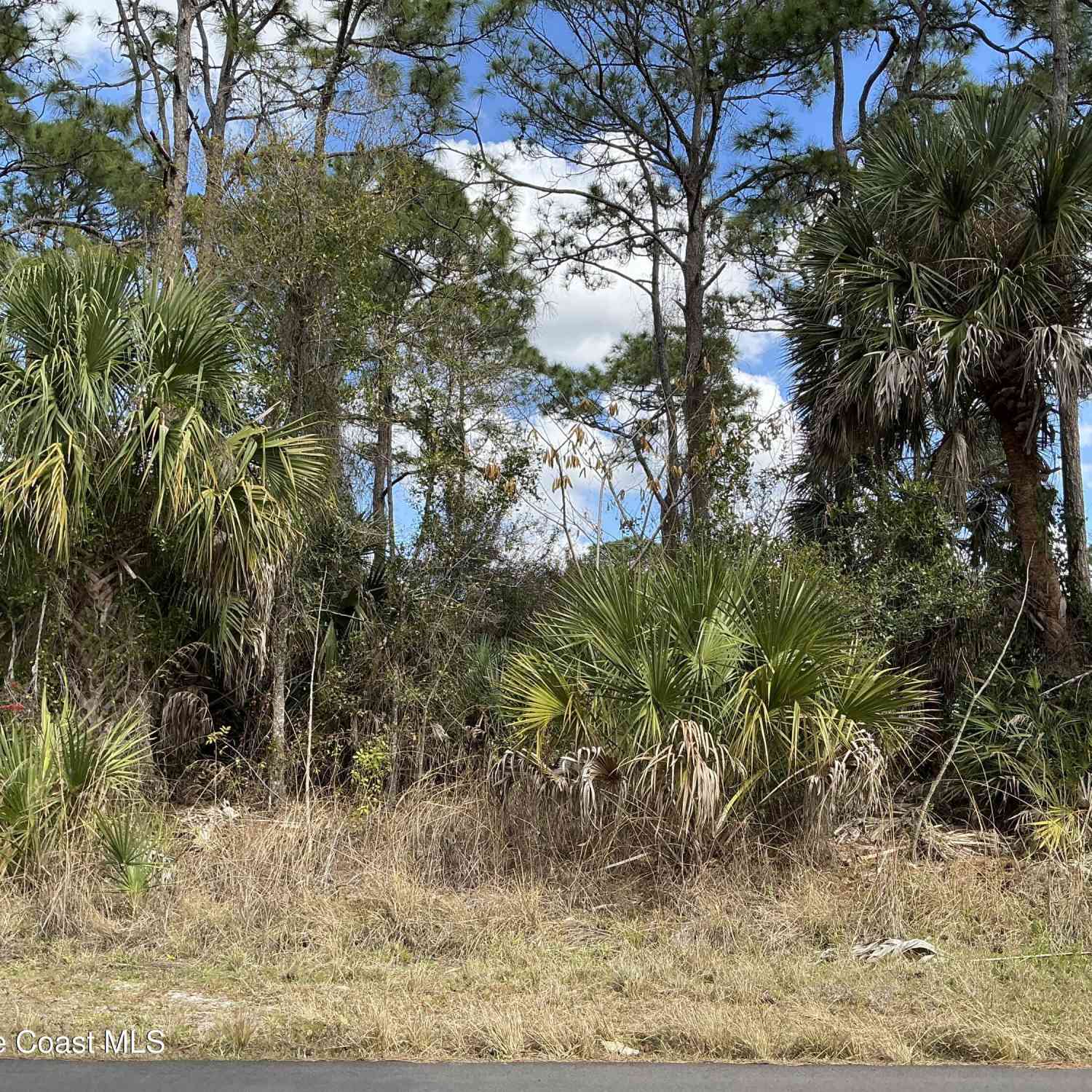 Vacant Land For Sale - 485 Gephart Street<br/> Palm Bay, FL 32908