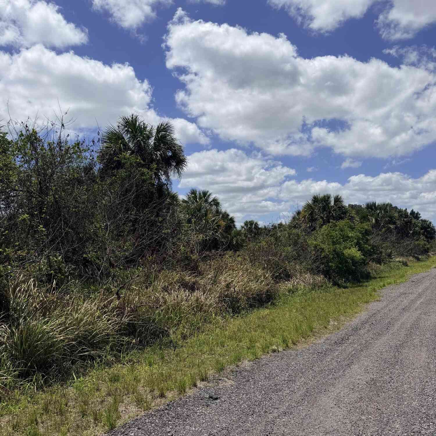Vacant Land For Sale - 708 Parrotfish Street<br/> Palm Bay, FL 32908