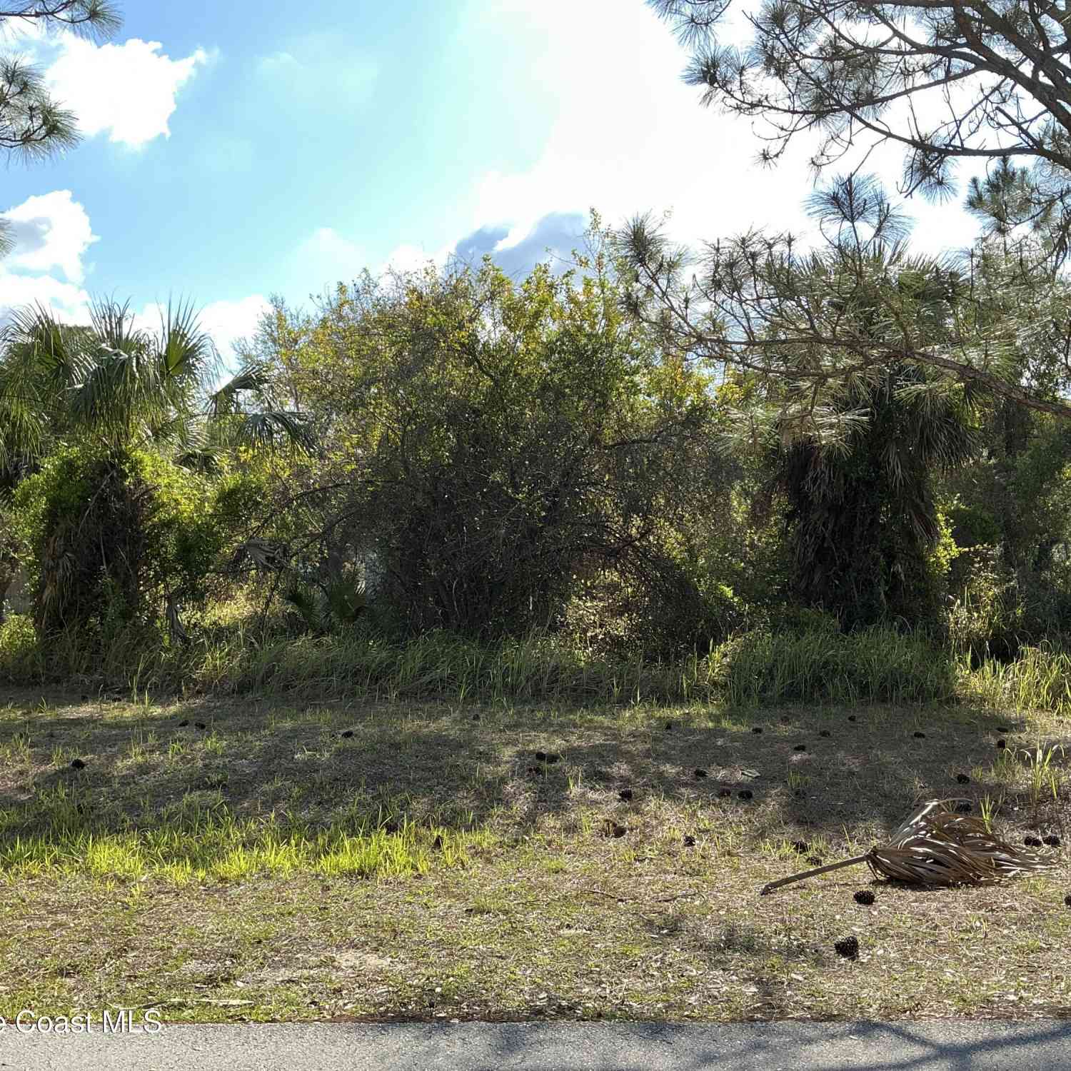 Vacant Land For Sale - 1741 Hamilton Avenue<br/> Palm Bay, FL 32908