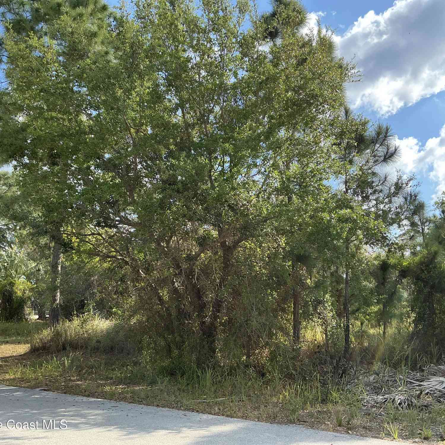 Vacant Land For Sale - 1751 Hamilton Avenue<br/> Palm Bay, FL 32908