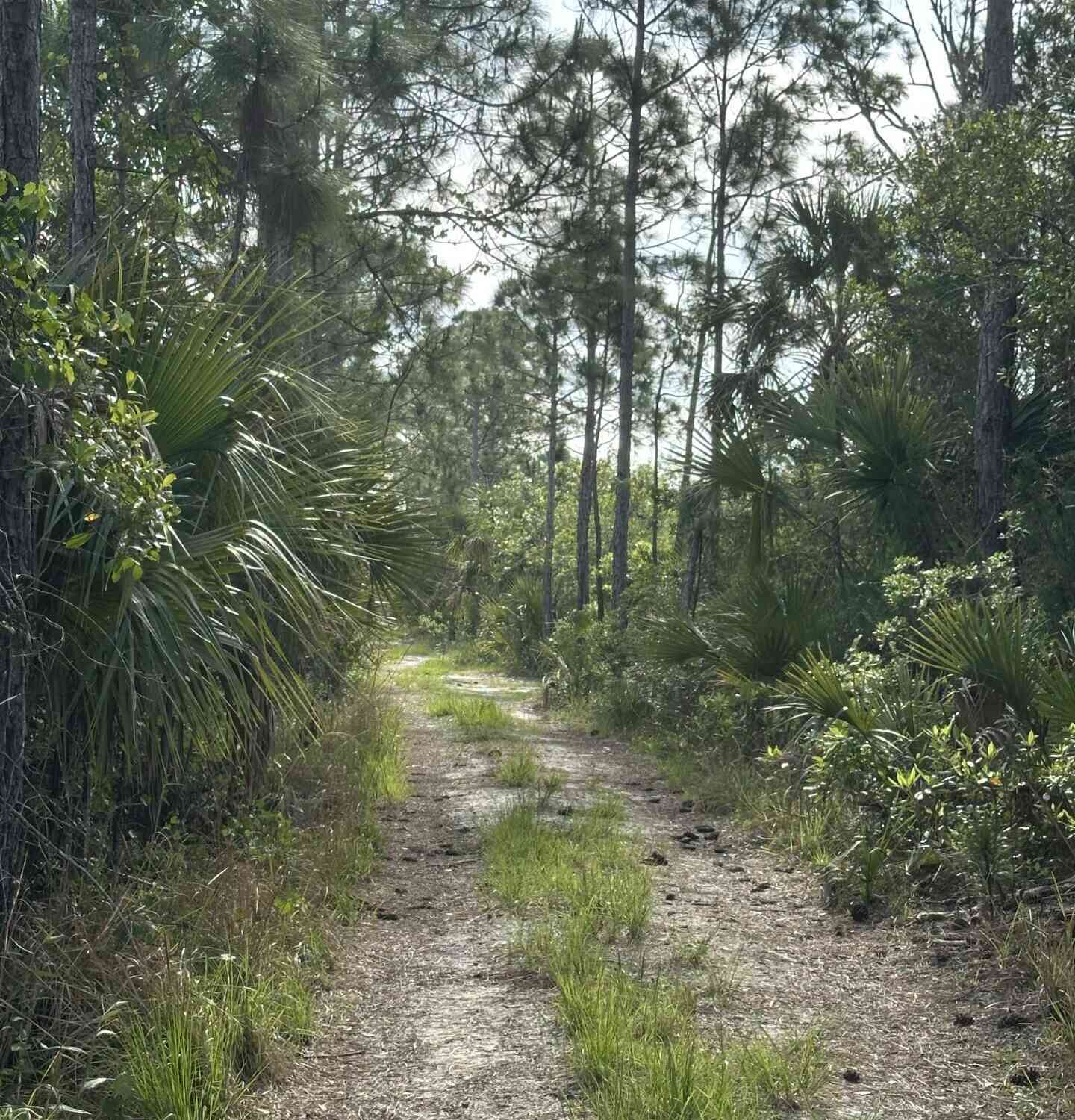 Vacant Land For Sale - Jason Ave Avenue<br/> Cocoa, FL 32926