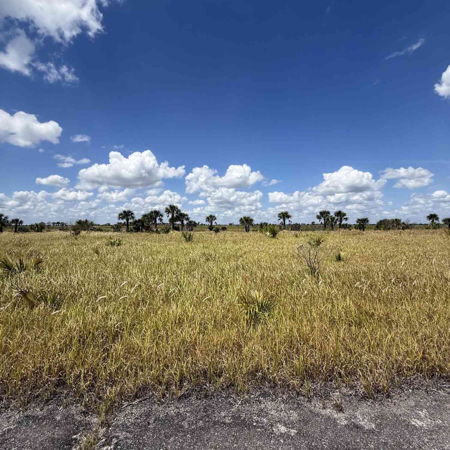 Vacant Land For Sale - 2056 Wabowen Road<br/> Palm Bay, FL 32908