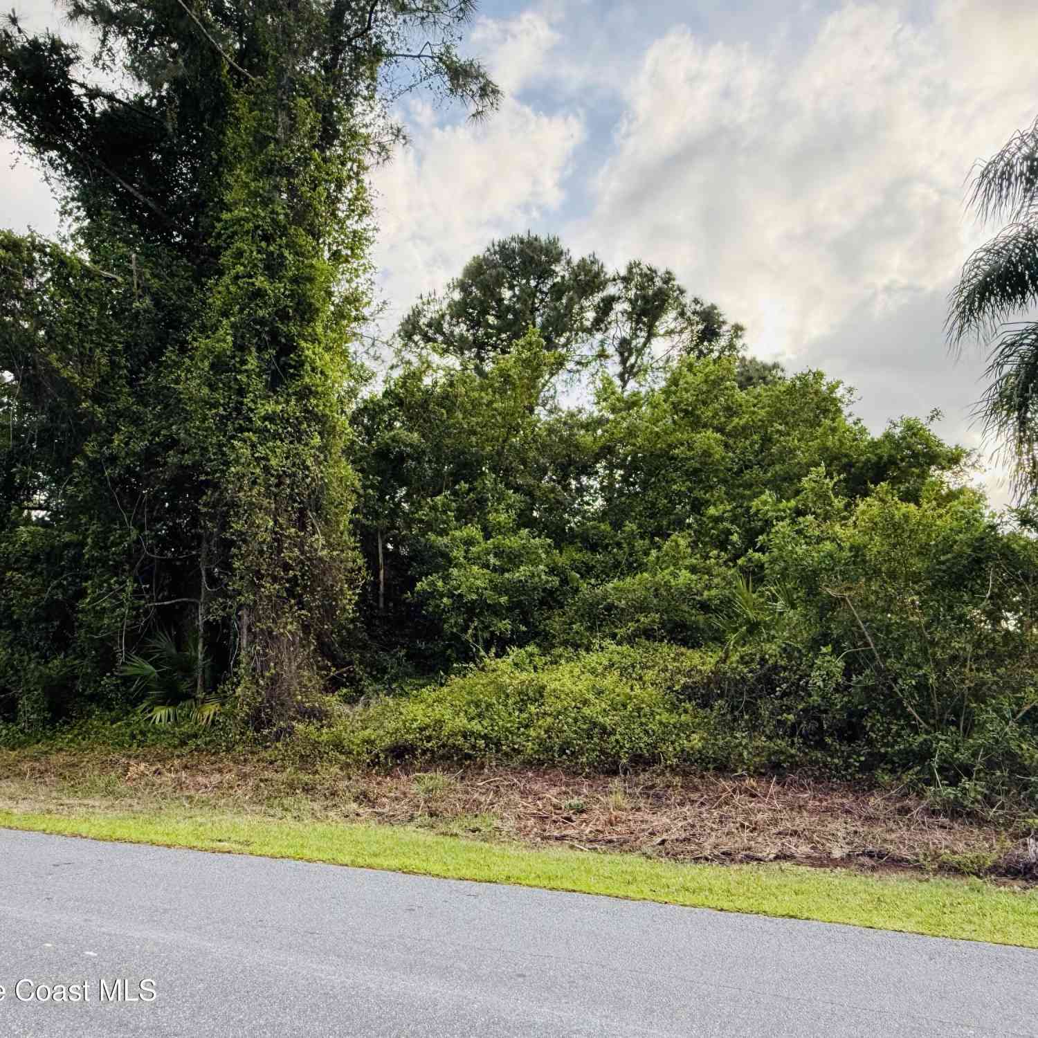 Vacant Land For Sale - 0000 Thames Street<br/> Palm Bay, FL 32909