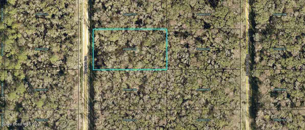 Vacant Land For Sale - 10620 Vaughan Avenue<br/> Hastings, FL 32145