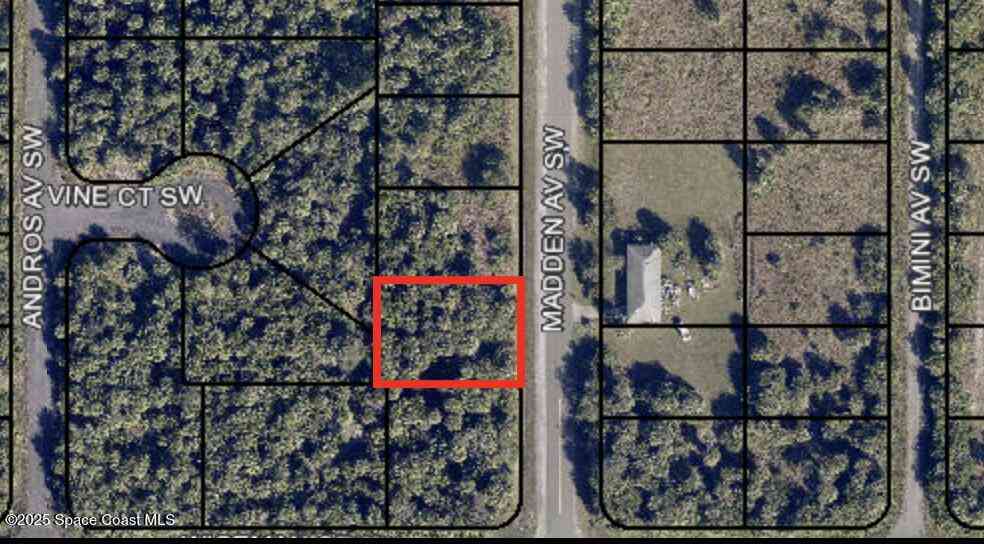 Vacant Land For Sale - 2482 Madden Avenue<br/> Palm Bay, FL 32908