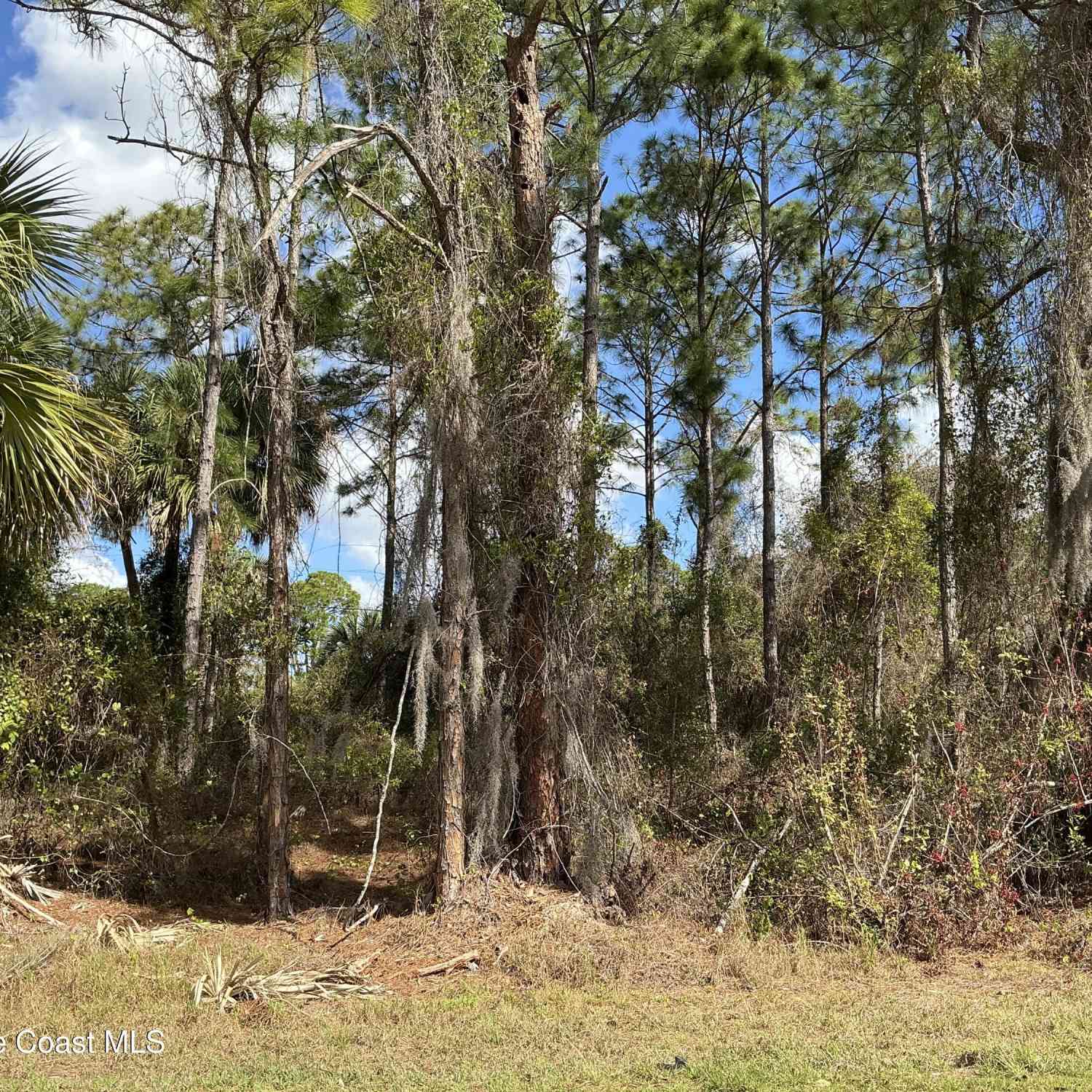 Vacant Land For Sale - 179 Bali Street<br/> Palm Bay, FL 32909