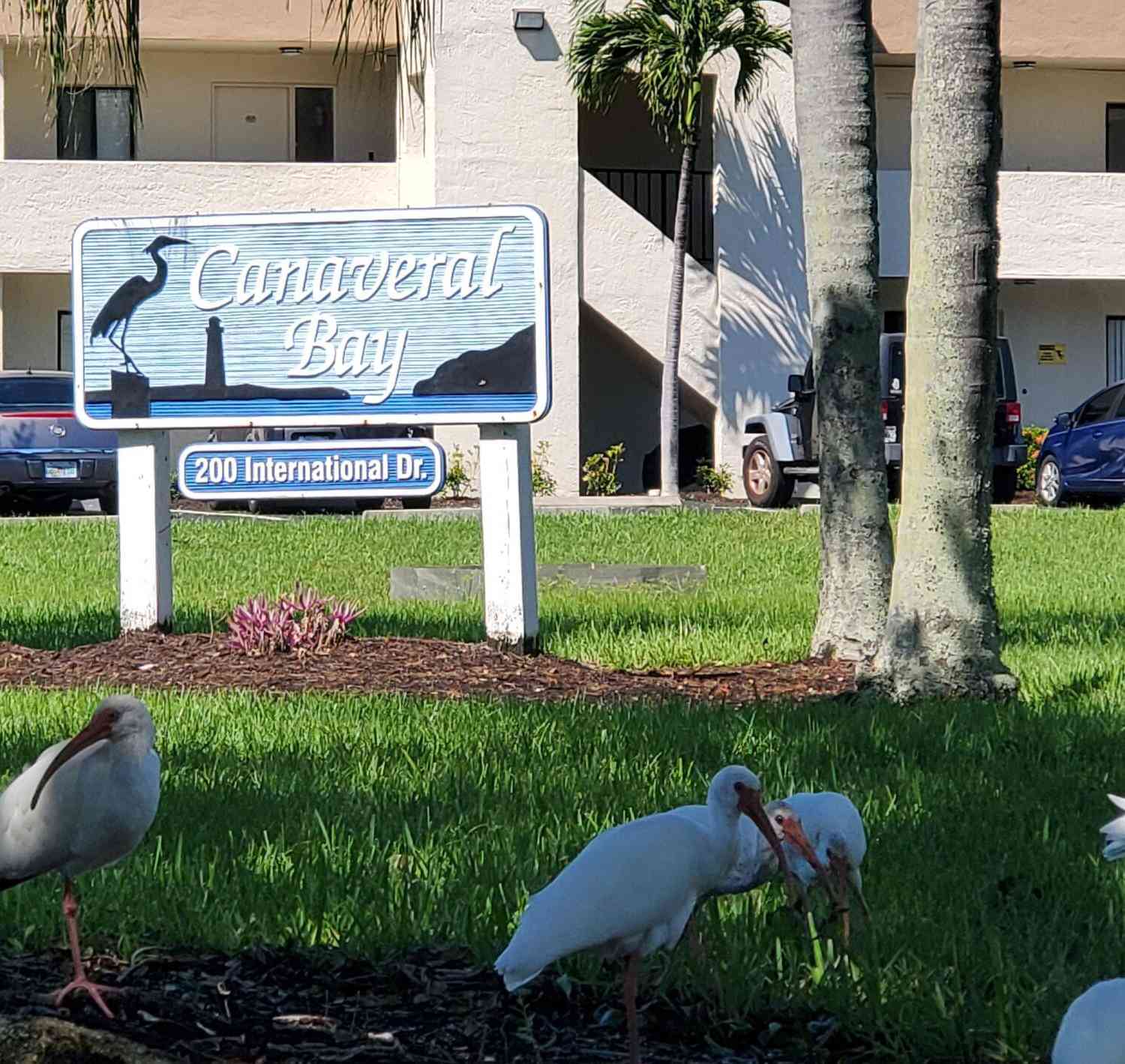 Condo For Sale - 200 International Drive #109<br/> Cape Canaveral, FL 32920
