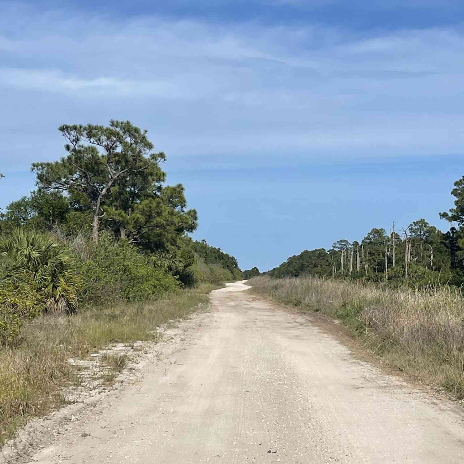 Vacant Land For Sale - 9201 Babcock Street<br/> Palm Bay, FL 32909