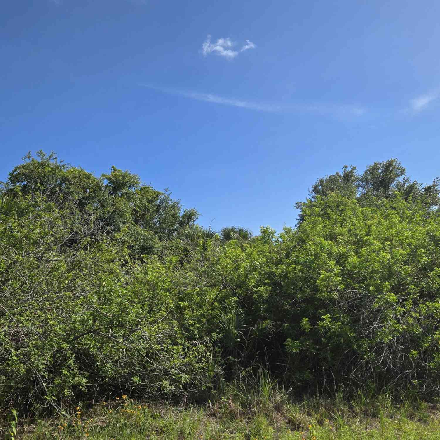 Vacant Land For Sale - 321 Buckskin Street<br/> Palm Bay, FL 32909