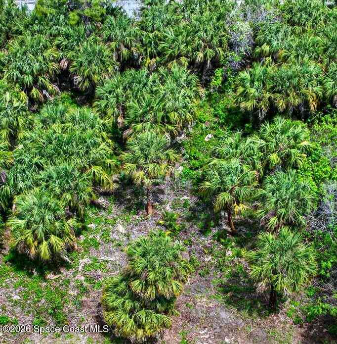 Vacant Land For Sale - 830 Nightengale Street<br/> Palm Bay, FL 32908