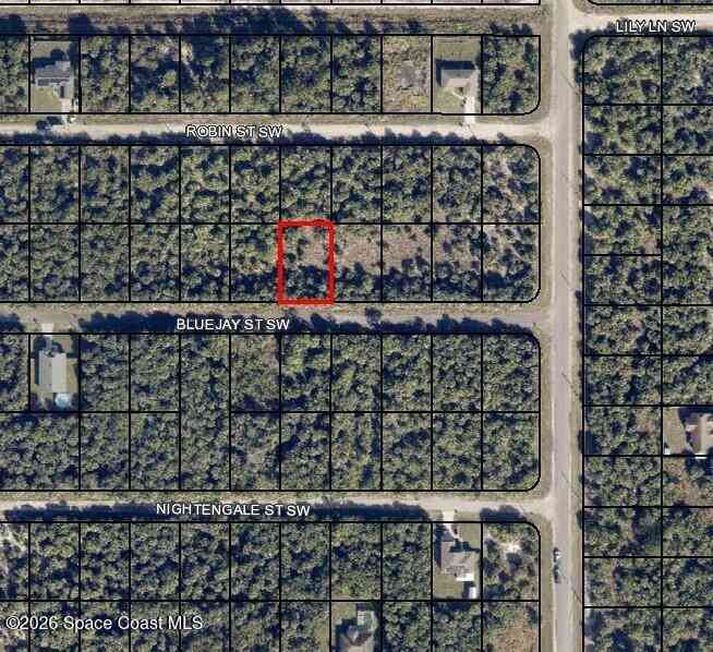 Vacant Land For Sale - 839 Bluejay Street<br/> Palm Bay, FL 32908