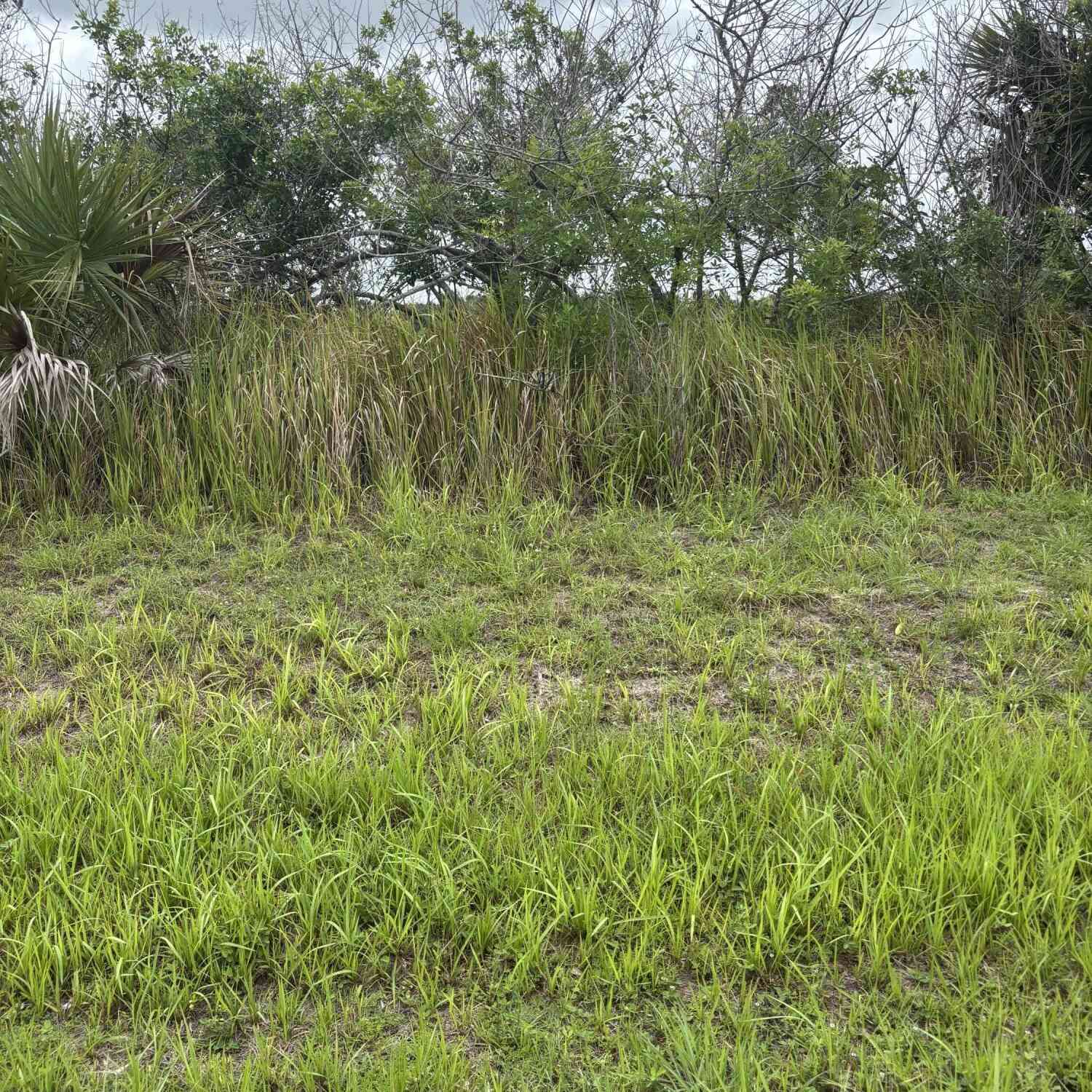 Vacant Land For Sale - 2387 SW Tarboro Terrace<br/> Palm Bay, FL 32908