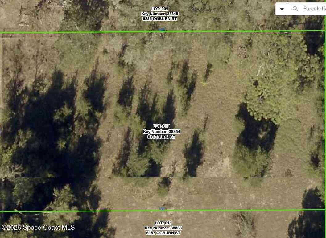 Vacant Land For Sale - Ogburn Street<br/> Brooksville, FL 34604