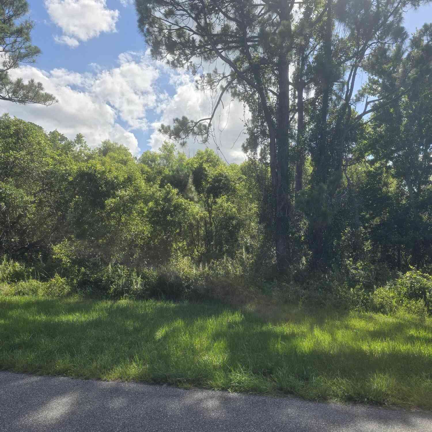 Vacant Land For Sale - 3906 Rambling Acres Drive<br/> Titusville, FL 32780